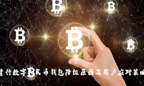 建行数字人民币钱包降级原因及用户应对策略
