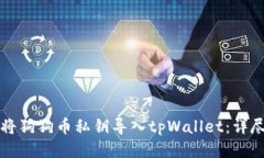 如何将狗狗币私钥导入tpWallet：详尽指南