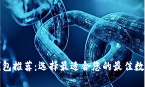 数字货币钱包推荐：选择最适合您的最佳数字货币钱包