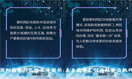 深圳数字钱包政策全解析：未来数字支付的趋势与挑战