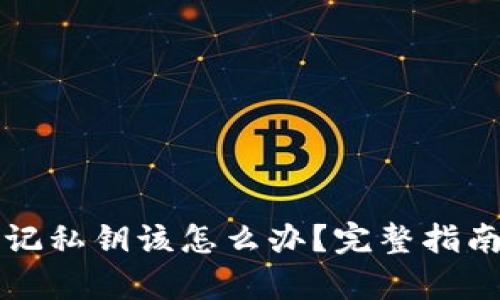tpWallet忘记私钥该怎么办？完整指南与解决方案