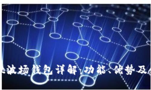 tpWallet波场钱包详解：功能、优势及使用指南