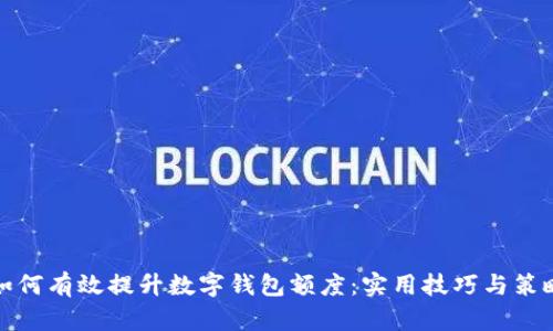 如何有效提升数字钱包额度：实用技巧与策略