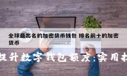 如何有效提升数字钱包额度：实用技巧与策略