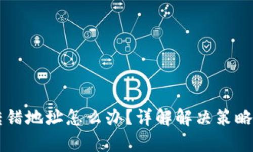 tpWallet转错地址怎么办？详解解决策略与避免方法