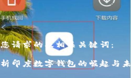 以下是您请求的及相关关键词:
全面解析印度数字钱包的崛起与未来趋势