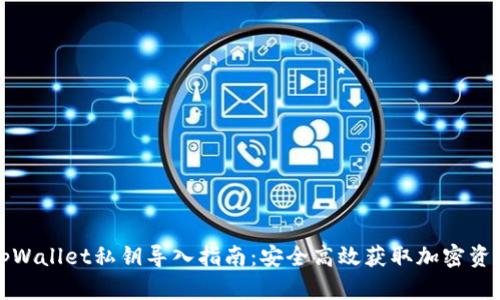 tpWallet私钥导入指南：安全高效获取加密资产
