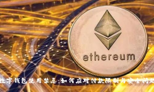 数字钱包使用禁忌：如何应对付款限制与安全问题