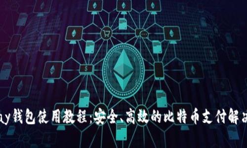 BitPay钱包使用教程：安全、高效的比特币支付解决方案