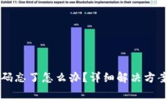 tpWallet支付密码忘了怎么办？详细解决方案及常见