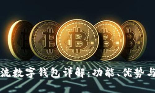 国内主流数字钱包详解：功能、优势与安全性