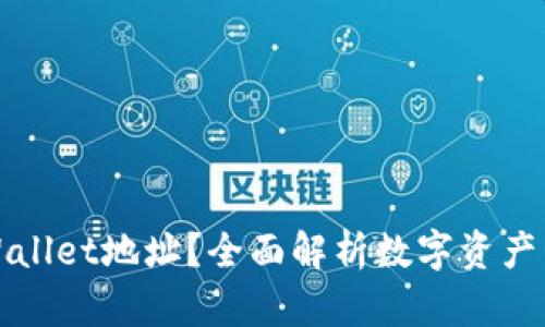 什么是tpWallet地址？全面解析数字资产管理新方式