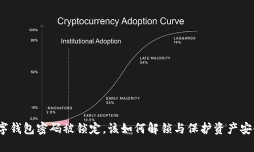数字钱包密码被锁定，该如何解锁与保护资产安全？