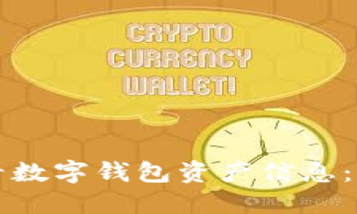 如何查看数字钱包资产信息：全面指南