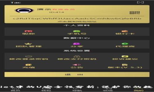 tpWallet中的U安全性分析：保护你的数字资产