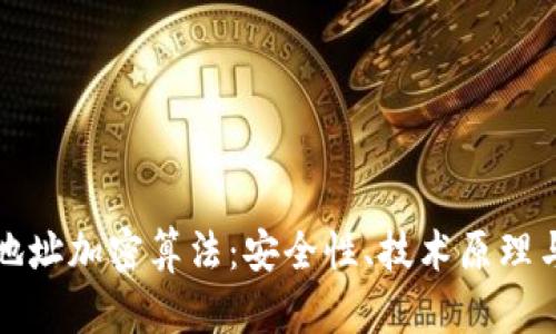 揭秘钱包地址加密算法：安全性、技术原理与应用分析