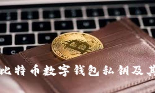 深入了解比特币数字钱包私钥及其安全管理