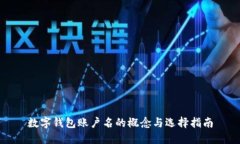 数字钱包账户名的概念与选择指南