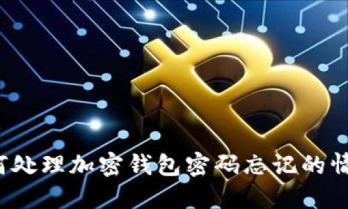 如何处理加密钱包密码忘记的情况？