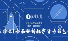 区块链钱包是什么？全面解析数字货币钱包的原