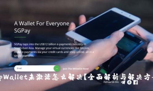 tpWallet未激活怎么解决？全面解析与解决方案