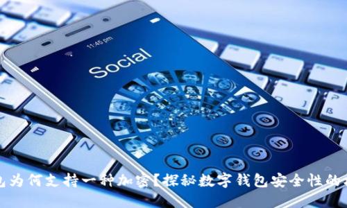 钱包为何支持一种加密？探秘数字钱包安全性的核心
