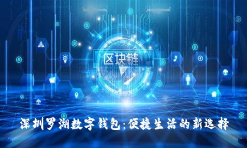 深圳罗湖数字钱包：便捷生活的新选择