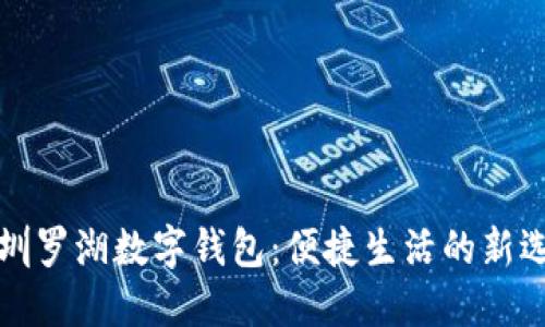 深圳罗湖数字钱包：便捷生活的新选择