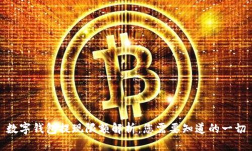 数字钱包提现限额解析：您需要知道的一切