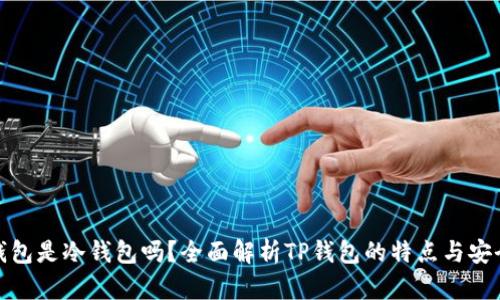 TP钱包是冷钱包吗？全面解析TP钱包的特点与安全性