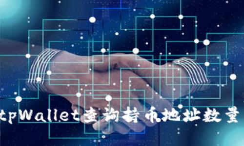 如何使用tpWallet查询持币地址数量：详细指南