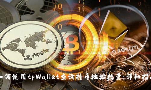 如何使用tpWallet查询持币地址数量：详细指南