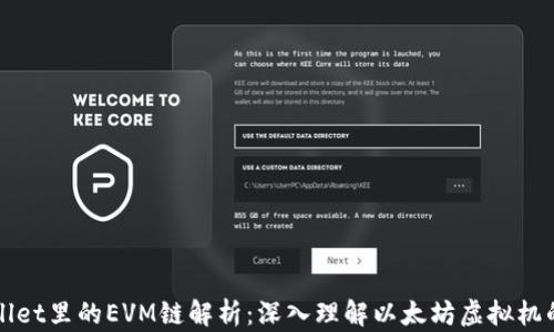 
tpWallet里的EVM链解析：深入理解以太坊虚拟机的应用