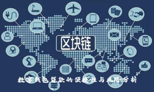 数字钱包贷款的便捷性与风险分析