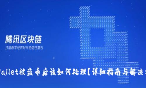 tpWallet被盗币后该如何处理？详细指南与解决方案