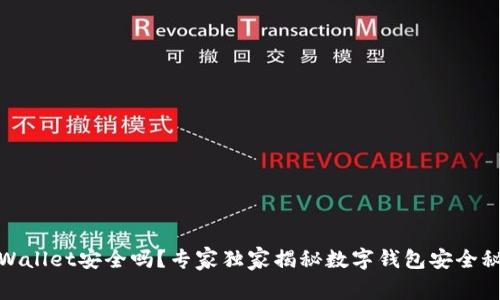 tpWallet安全吗？专家独家揭秘数字钱包安全秘诀