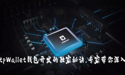 揭秘tpWallet钱包开发的独家秘诀，专家带你深入理解