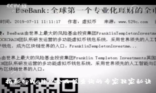 揭秘tpWallet哈西值查询的专家独家秘诀