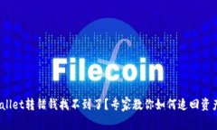 bianotitpWallet转错钱找不到了？专家教你如何追回