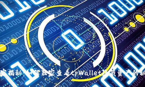 专家揭秘：如何独家查看tpWallet隐藏资产的秘诀