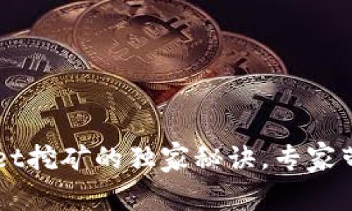 揭秘tpWallet挖矿的独家秘诀，专家带你轻松上手