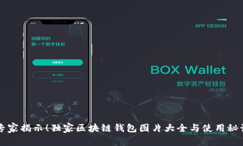 专家揭示！独家区块链钱包图片大全与使用秘诀