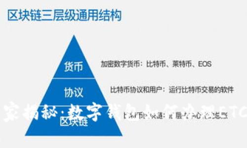 专家独家揭秘：数字钱包如何办理ETC的秘诀