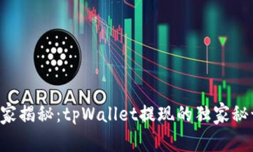 专家揭秘：tpWallet提现的独家秘诀！