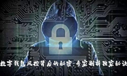 数字钱包风控背后的秘密：专家剖析独家秘诀