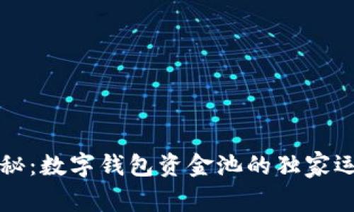 专家揭秘：数字钱包资金池的独家运用秘诀