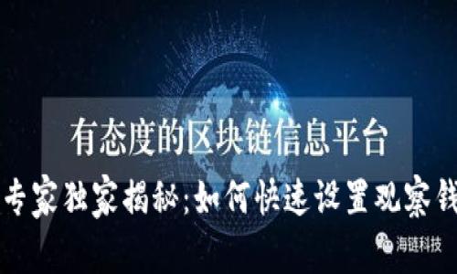 tpWallet专家独家揭秘：如何快速设置观察钱包的秘诀