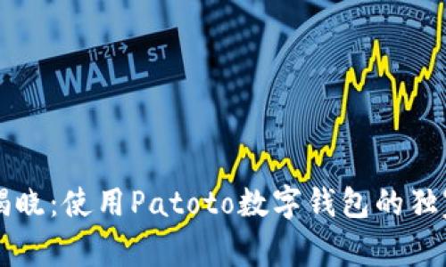 专家揭晓：使用Patoto数字钱包的独家秘诀