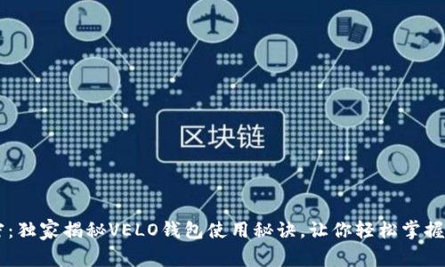 专家解密：独家揭秘VELO钱包使用秘诀，让你轻松掌握数字货币