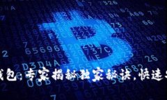 TP数字货币钱包：专家揭秘独家秘诀，快速安全下